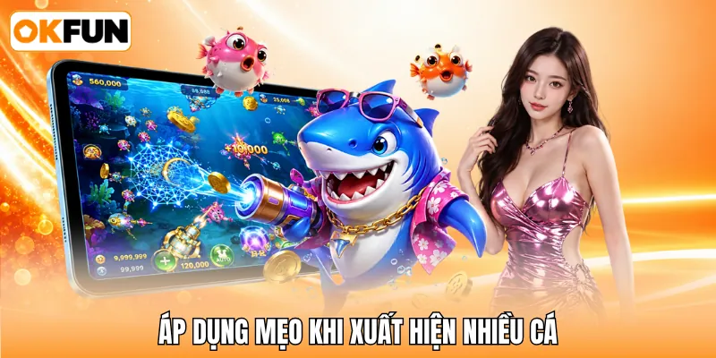 Áp dụng mẹo khi xuất hiện nhiều cá Áp dụng mẹo khi xuất hiện nhiều cá